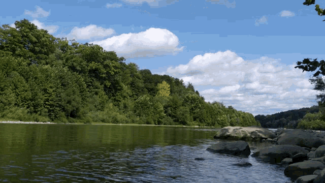 Nature Lake GIF - Nature Lake River - Discover & Share GIFs