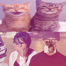 a couple of cats and a man with glasses