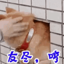 a cat is sticking its head through a hole in a wall .