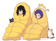 a couple of sleeping bags with a cat on top