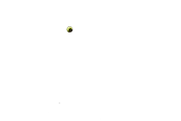 a yellow and black ball is flying through the air on a white background .