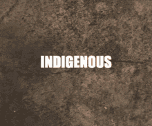 Indigenous Peoples GIF - Indigenous Peoples Day GIFs