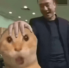 a man is holding a hamster 's head with his hands .