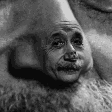 German Albert Einstein GIF - German Albert Einstein Science GIFs
