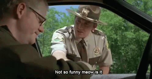 Meow Super Troopers GIF - Meow Super Troopers Police Officer - Discover &  Share GIFs