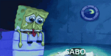 Cry Sabo GIF - Cry Sabo GIFs