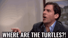 Where Are The Turtles GIF - Where Are The Turtles GIFs