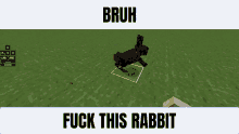 Rabbit Minecraft GIF - Rabbit Minecraft Memes GIFs