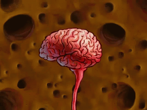 spongebob brain gif