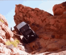 Jeep Dog GIF - Jeep Dog Roll GIFs