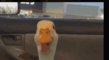 Duckler Ilikemen GIF - Duckler Ilikemen GIFs