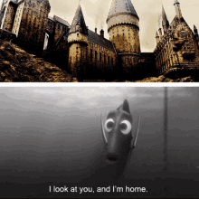 Hogwarts Dory GIF - Hogwarts Dory Home GIFs