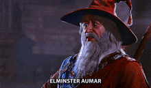 Elminster Aumar GIF - Elminster Aumar Baldur'S Gate 3 GIFs