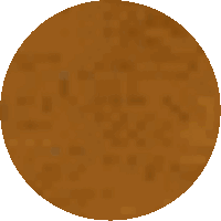 a pixelated image of a brown circle