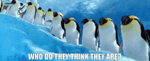 Happy Feet Who Do They Think They Are GIF - Happy Feet Who Do They Think They Are Penguins GIFs