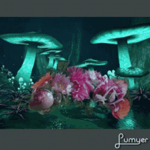 background animated mushrooms animated flowers