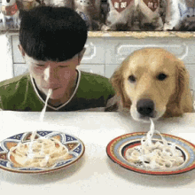 Dog Noodles GIF