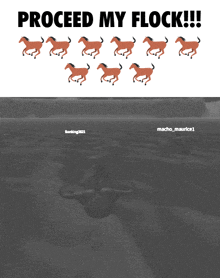 a poster that says proceed my flock in black letters