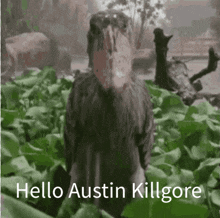 Helloaustin GIF