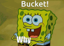 Bucket Why Not Bucket GIF - Bucket Why Not Bucket Why Not GIFs