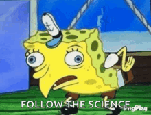 Follow The GIF - Follow The Science GIFs