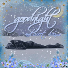 a picture of a person laying down with the words goodnight and sweet dreams above them