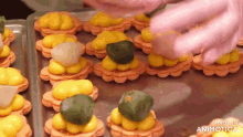 a tray of desserts with the words made in animatica on the bottom right