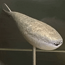 a sculpture of a fish is sitting on a metal pole .