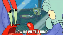 how do we tell him mr krabs spongebob meme spongebob meme