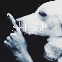 a black and white photo of a dog making a shhh sign