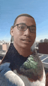 a man with glasses and a pigeon on his chest has the word viggle.ai on the bottom left