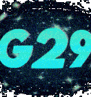 G29 Sticker - G29 Stickers
