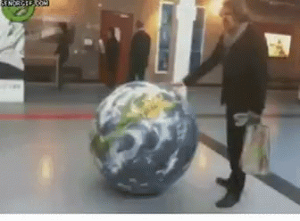 funniest gifs in the world