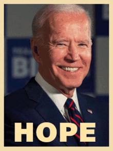 Biden Joe Biden GIF - Biden Joe Biden Election GIFs