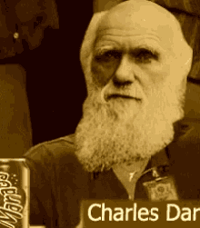 Thumbs Up Charles Darwin GIF - Thumbs Up Charles Darwin Approve GIFs