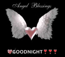 edna good night angel wings
