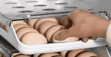 a person is holding a tray of eggs in a fridge .