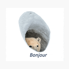 Hello Bonjour GIF - Hello Bonjour GIFs
