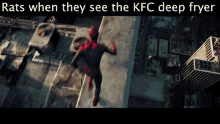 rats when they see kfc