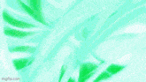 a close up of a person 's feet in green shoes walking on a green background .