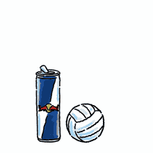 volleyball red bull serve hit spike