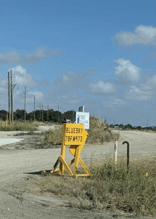 a yellow sign on the side of a road says bluesky