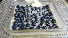 Blueberry Shortbread Bars GIF