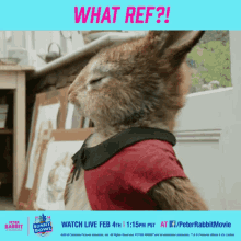 Ref What Ref GIF - Ref What Ref Bunny Bowl GIFs