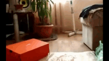 Creeping  GIF - Cats Scared Funny GIFs
