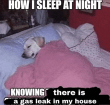 Gas Leak How I Sleep Ag Night GIF - Gas Leak How I Sleep Ag Night GIFs