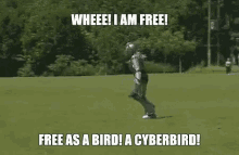Cyberbird GIF - Whee Imfree Cyberbird GIFs