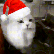 Cat Lick With Christmas Hat GIF - Cat Lick With Christmas Hat GIFs