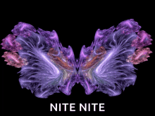 Nite Goodnight GIF - Nite Goodnight Sparkles GIFs