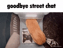 a picture of two cats with the words goodbye street chat below them